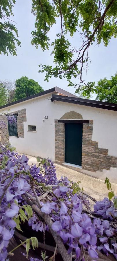 Agriturismo Terranova ピスティッチ エクステリア 写真