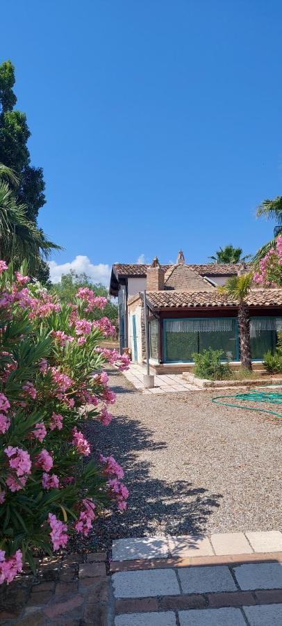 Agriturismo Terranova ピスティッチ エクステリア 写真